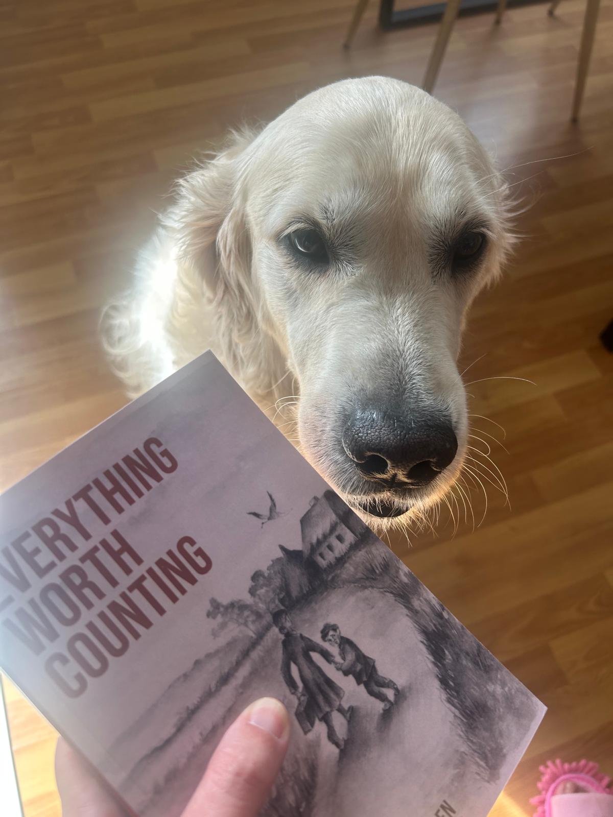 Historical fiction about family and immigration